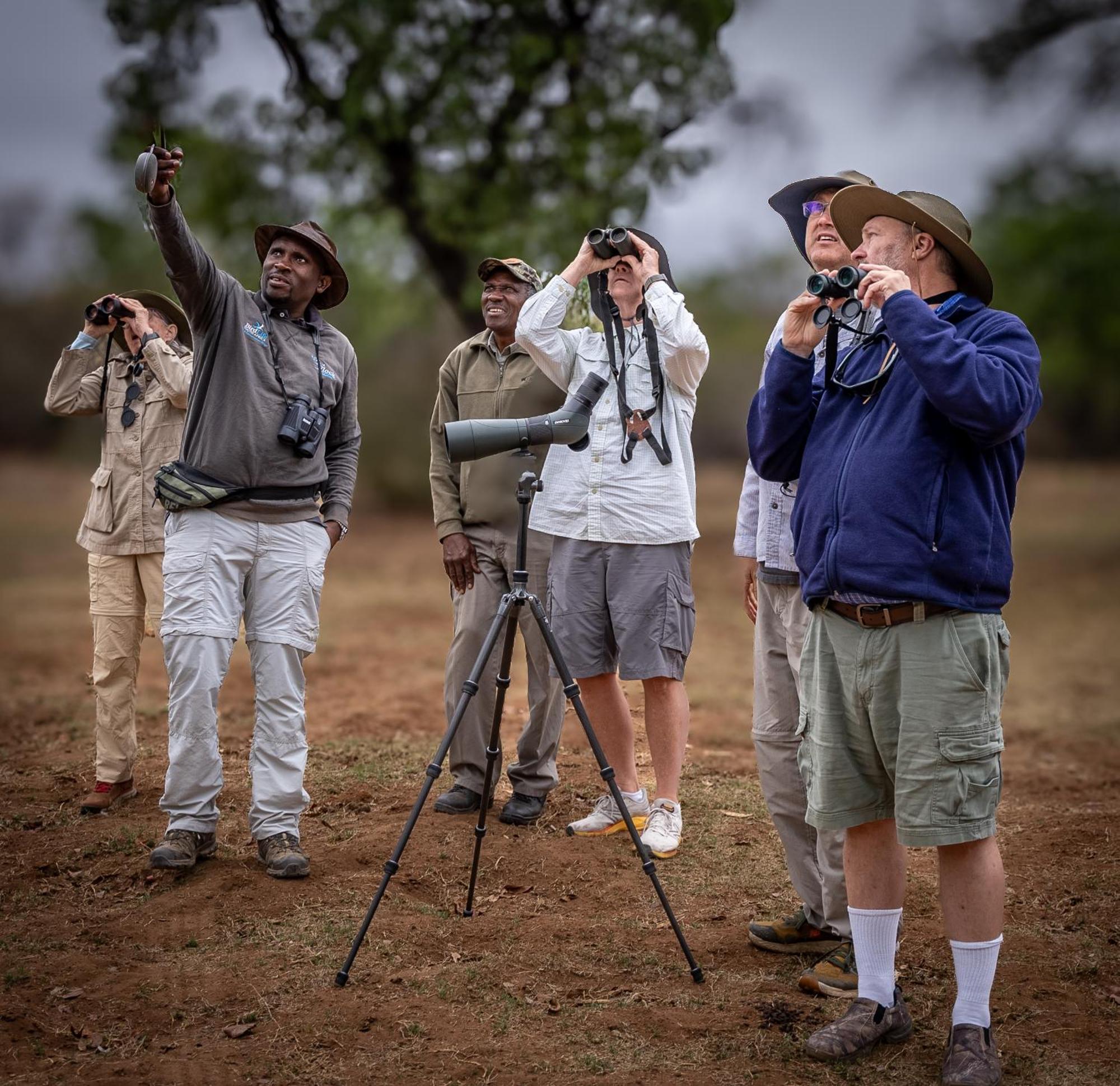 Lindani Game And Lodges Vaalwater Bagian luar foto