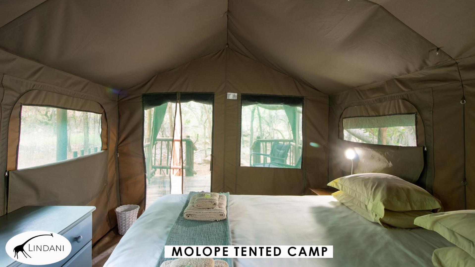 Lindani Game And Lodges Vaalwater Bagian luar foto