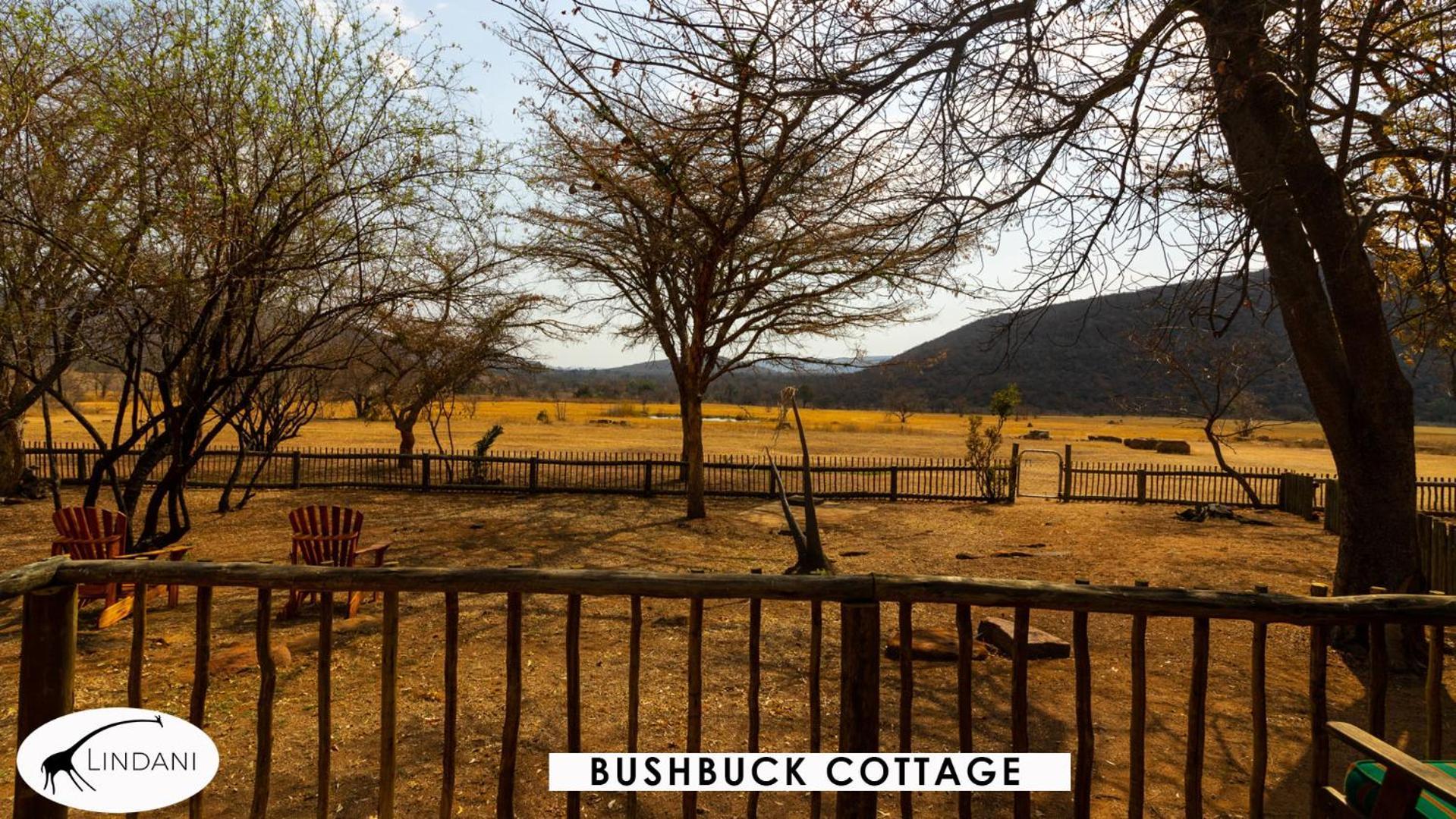 Lindani Game And Lodges Vaalwater Bagian luar foto