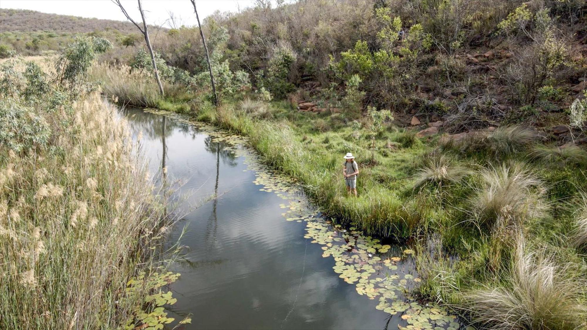 Lindani Game And Lodges Vaalwater Bagian luar foto
